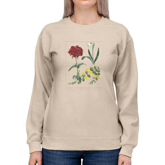 Spring Delight Sweatshirt Women -Sydenham Edwards Designs, Female Large