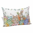 thumbnail image 1 of Spring Easter Pillow Covers Queen, Rabbits Eggs Botanical Floral Leaf Butterfly Soft Brushed Microfiber Breathable Throw Pillow Covers, Pillowcase with Zipper for Couch Sofa Bedroom 20"x30", 1 of 9