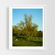 Spring Evening in Prospect Park 02 - Brooklyn New York Photography Nature Summer Scenic Landscape White Framed Wall Art Print 8 x 10 inches