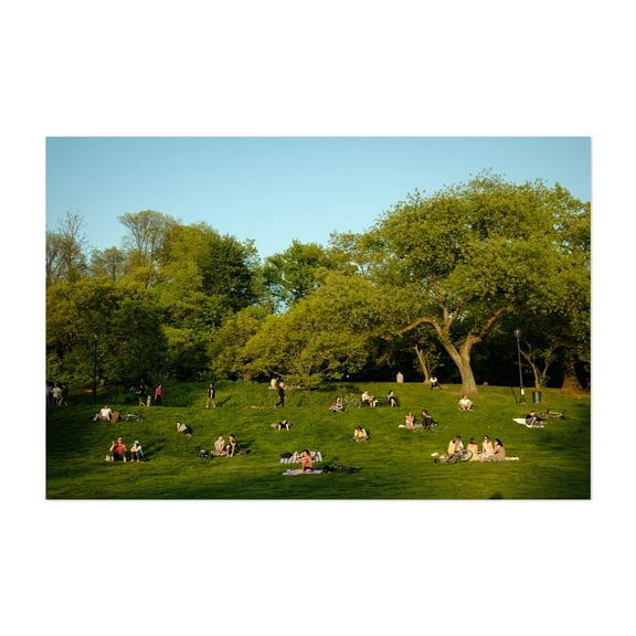 Spring Evening in Prospect Park 03 - Brooklyn New York Photography Unframed Wall Art Print 5 x 7 inches