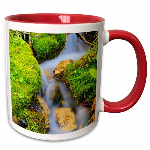 3drose, Spring Fed Mountain Stream, 11oz Two-tone Red Mug