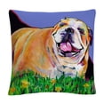 thumbnail image 1 of Spring Fever' Animals Pets Painting Bold By Pat Saunders-White 16 X 16 Decorative Throw Pillow, 1 of 4