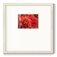 thumbnail image 1 of Spring FirePremium Framed Print, 1 of 5