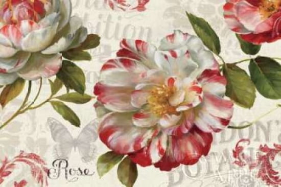 Spring Flair I Canvas Art - Lisa Audit (24 x 36)