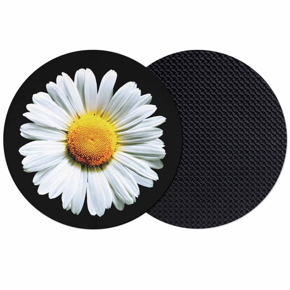 Spring Floral Coasters Set of 2, Absorbent Coasters for Drinks, Daisy Summer Botanical Classic Black Coaster for Desk Coffee Table Protection, Home Decor House Warming Gifts 4"