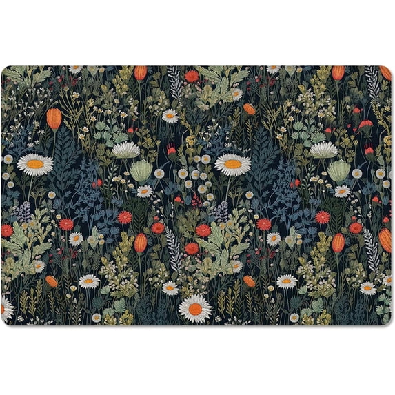 Spring Floral Front Door Mat,Door Mats Outdoor/Indoor Funny Welcome Mat, Summer Daisy Botanical Flowers Floor Mats Non-Slip Doormat Kitchen Rugs 36X24Inch