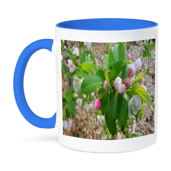 3dRose, Spring Flower Buds Ready To Open, 11oz Two-Tone Blue Mug