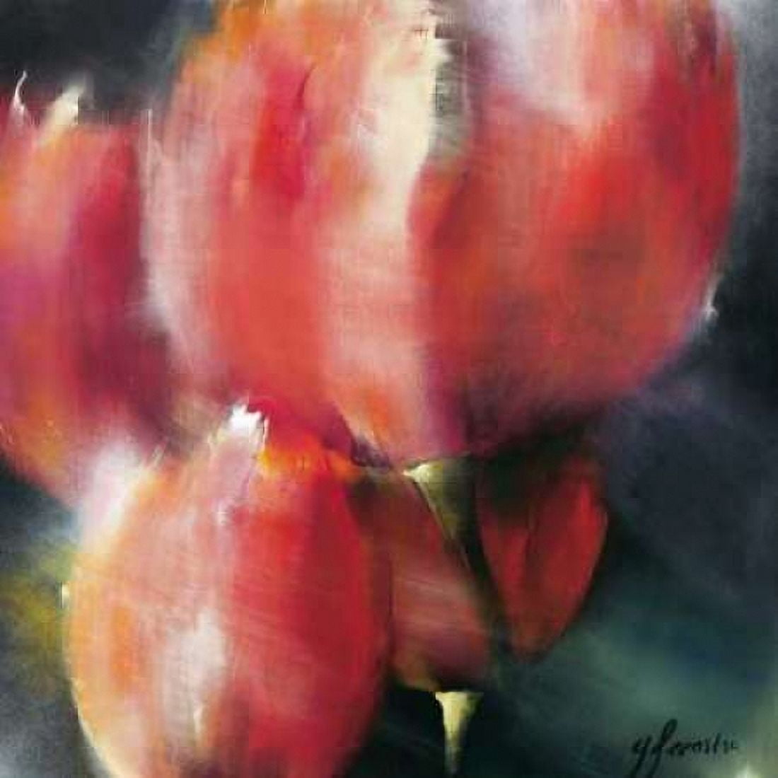 Spring Flower I Canvas Art - Greetje Feenstra (24 x 24)