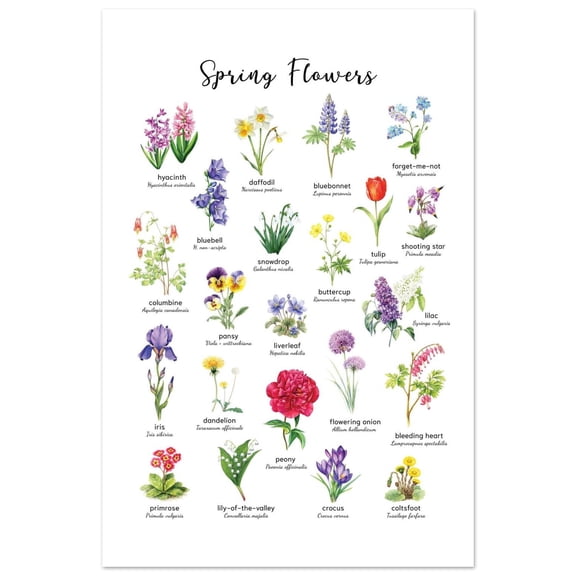 Antique Flowers Poster Wall Art, Poster Only - Walmart.com
