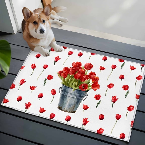 Spring Flowers Front Door Rugs 2x3 ft Red Tulip Floral Drum Farm Plants Country Small Rug for Entryway Non Slip Washable Bathroom Door Mat Absorbent Floor Mat for Indoor Entrance