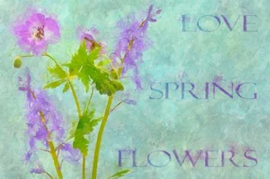 Spring Flowers I Canvas Art - Cora Niele (12 x 18)
