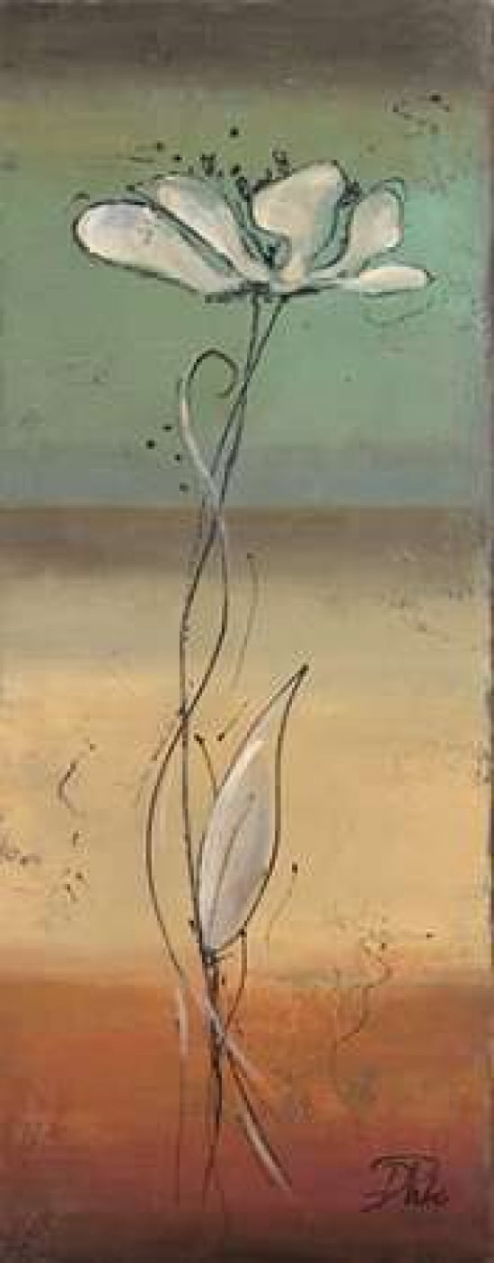 Spring Flowers I Canvas Art - Patricia Pinto (24 x 48)