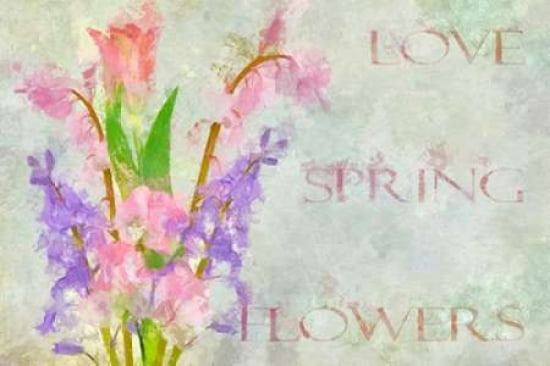 Spring Flowers IV Canvas Art - Cora Niele (12 x 18)