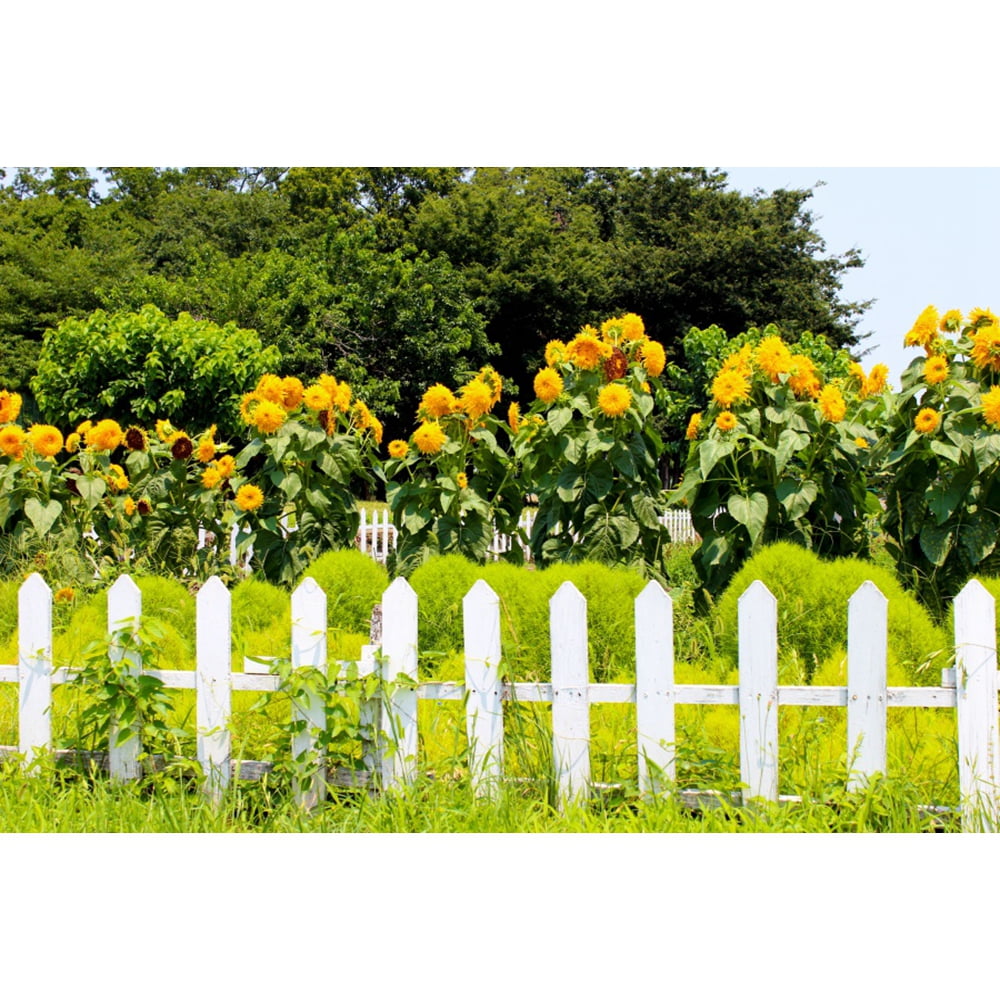 Spring Flowers Photography Backdrop Baby Shower Birthday Party r Banner ...