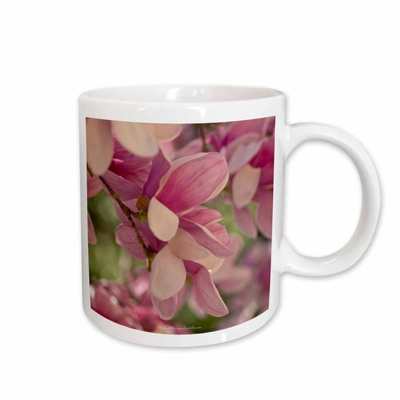 Spring Flowers Saucer Magnolias 2011 III 11oz Mug mug-14055-1