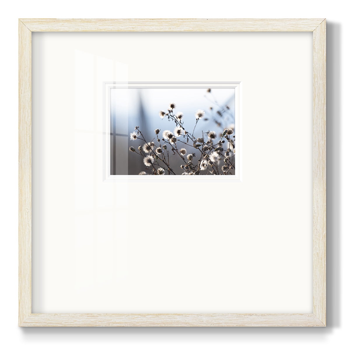 Spring FluffPremium Framed Print