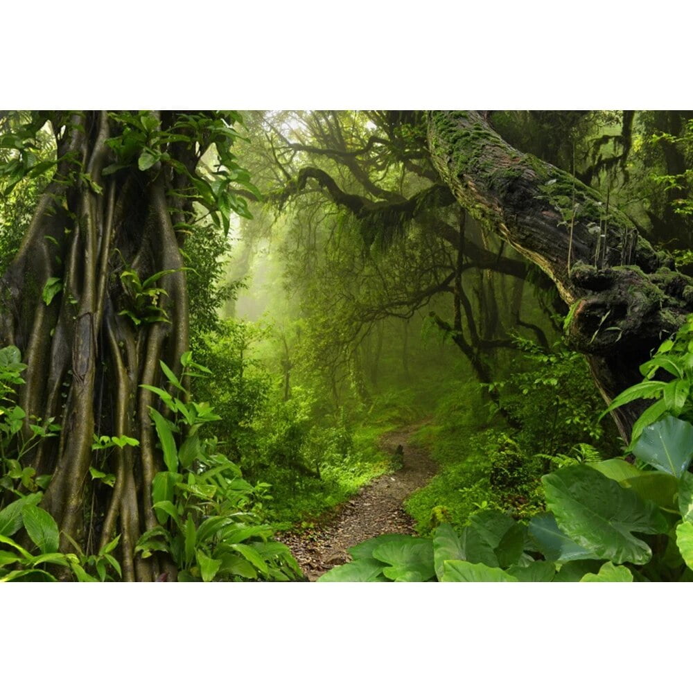 Spring Forest Backdrop Tropical Jungle Rainforest Backdrops for ...