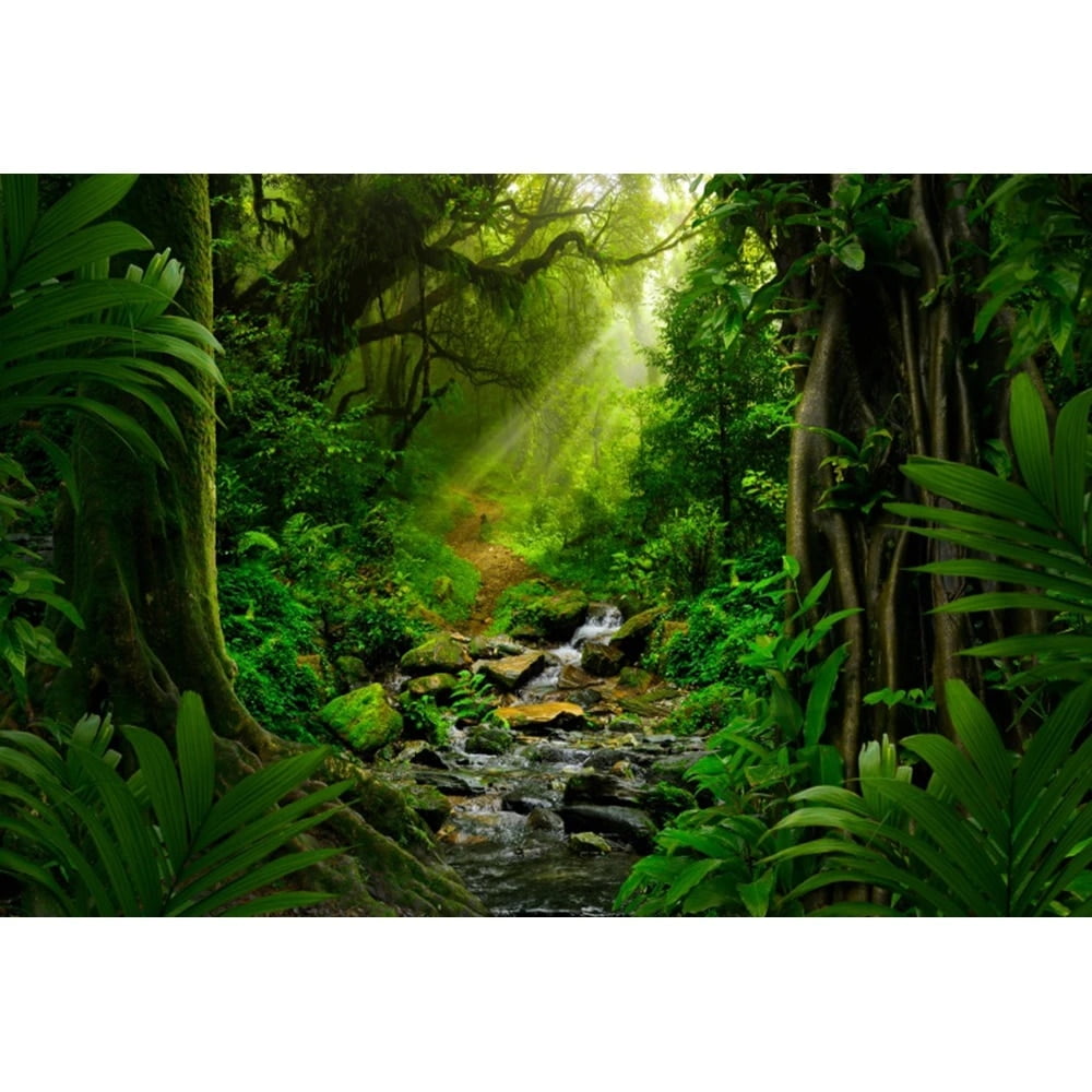 Spring Forest Backdrop Tropical Jungle Rainforest Backdrops for ...