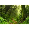 thumbnail image 1 of Spring Forest Photography Backdrop Natural Jungle Landscape Photocall Background Custom Party ration Photocall Props, 1 of 8