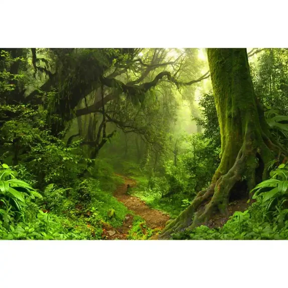 Spring Forest Photography Backdrop Natural Jungle Landscape Photocall Background Custom Party ration Photocall Props