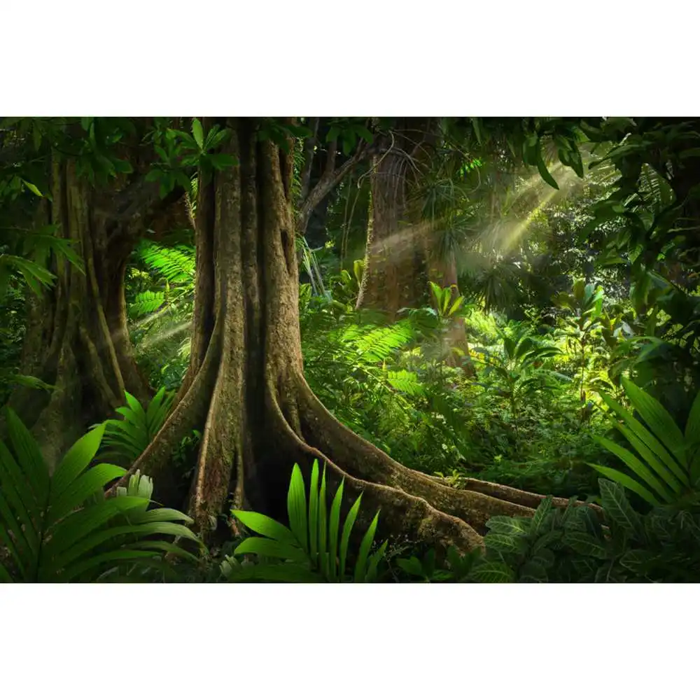 Spring Forest Photography Backdrop Natural Jungle Landscape Photocall ...