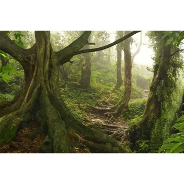 Spring Forest Photography Backdrop Natural Jungle Landscape Photocall Background Custom Party ration Photocall Props