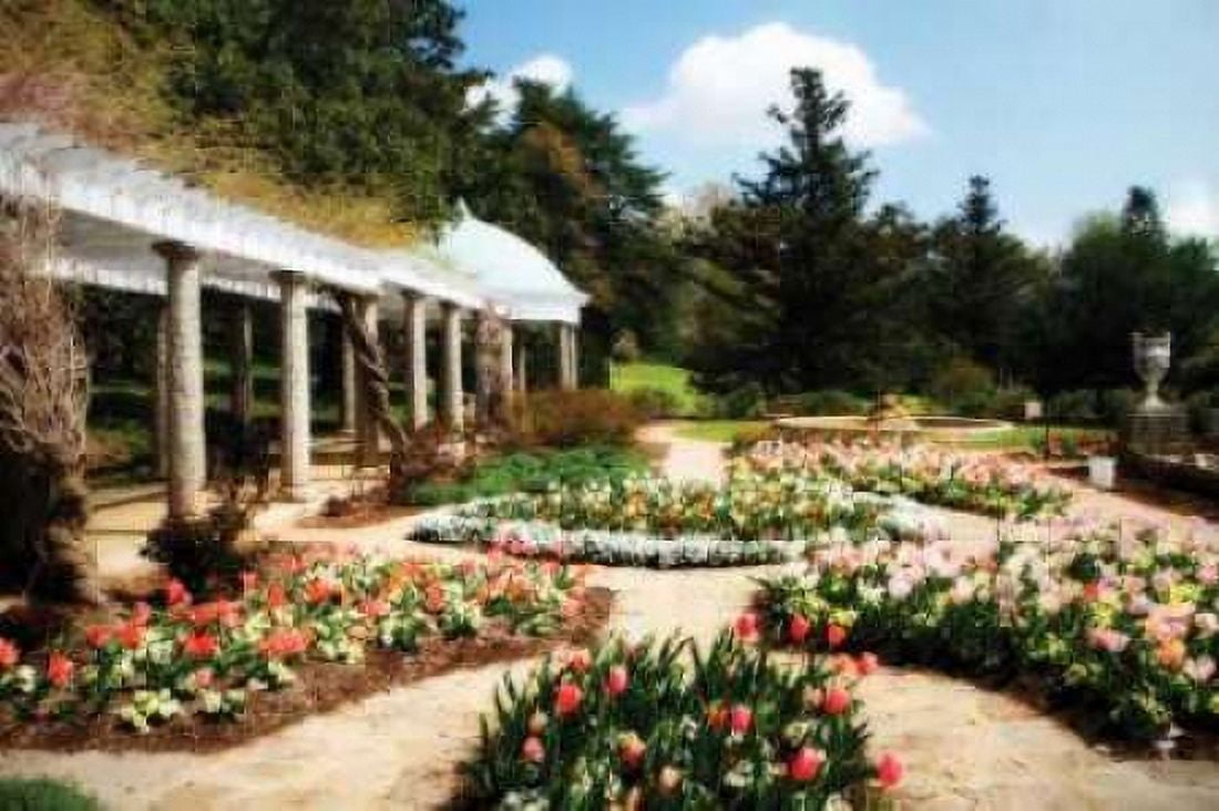 Spring Formality I Canvas Art - Alan Hausenflock (20 x 28)