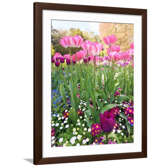 Art.com Spring Garden Art Print by Sarah Jane, Brown Frame Wall Art, 32" x 40"