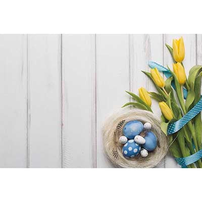 Easter Spring Gard Photography Background Bunny Eggs Window Photoz Backdrop Childr Studio Photobooth Supplies