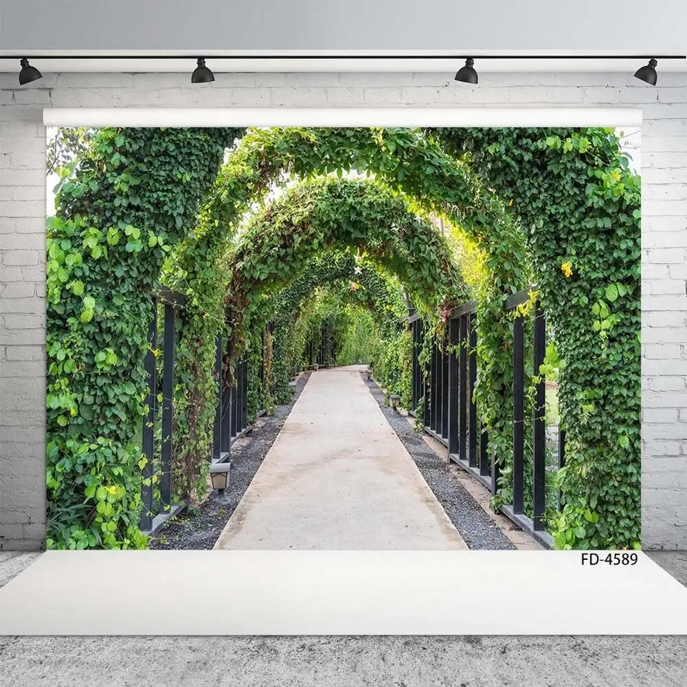 Spring Green Cirrus Arch Path Scenery Background Children Young ...