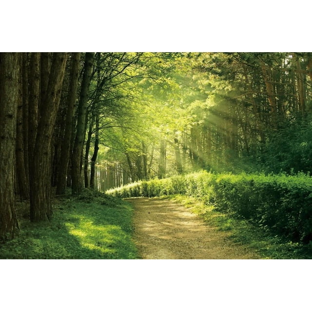 EOA 5x3 FT Magical Jungle Photography Backdrop – Green Rainforest Leaves Background For Kids Birthday, Studio