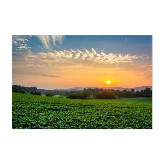 Spring Grove Sunset - Spring Grove Pennsylvania Photography Sunset Landscape Rural Nature Scenic Farmhouse Summer Unframed Wall Art Print 20 x 28 inches