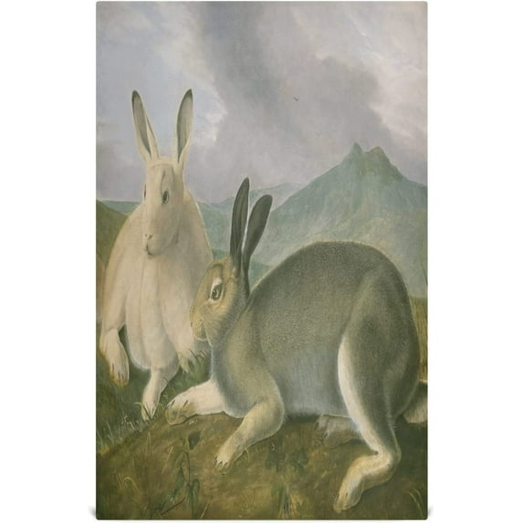 Spring Hare Bunny Kitchen Tea Towels Set of 1 Absorbent Hand Dish Towels, Watercolor Easter Rabbit Dishcloths Lint-Free 18x28 Inch Fast Drying for Cooking Baking Home Clean