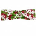 thumbnail image 1 of Spring Headband, Redcurrant Branches with Leaves Grape Harvest Agriculture Fruit Illustration, Elastic and Soft Women's Bandana for Sports and Everyday Use, Grey Red Coconut, by Ambesonne, 1 of 3