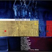 Spring Heel Jack - Amassed - Electronica - CD