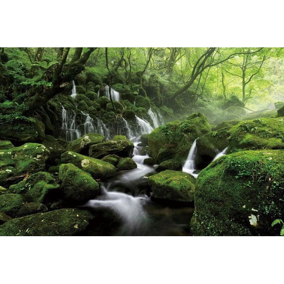 Spring Jungle Forest Photocall Backdrop Rock Flowing Mountain Stream Landscape Kid Adult Portrait Photography Background