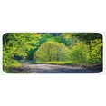 thumbnail image 1 of Spring Kitchen Mat, Path in Forest by the Lake Sunlight Reflecting on Fresh Leaves Tranquil Image, Plush Decorative Kitchen Mat with Non Slip Backing, 47" X 19", Lime Green Grey, by Ambesonne, 1 of 1