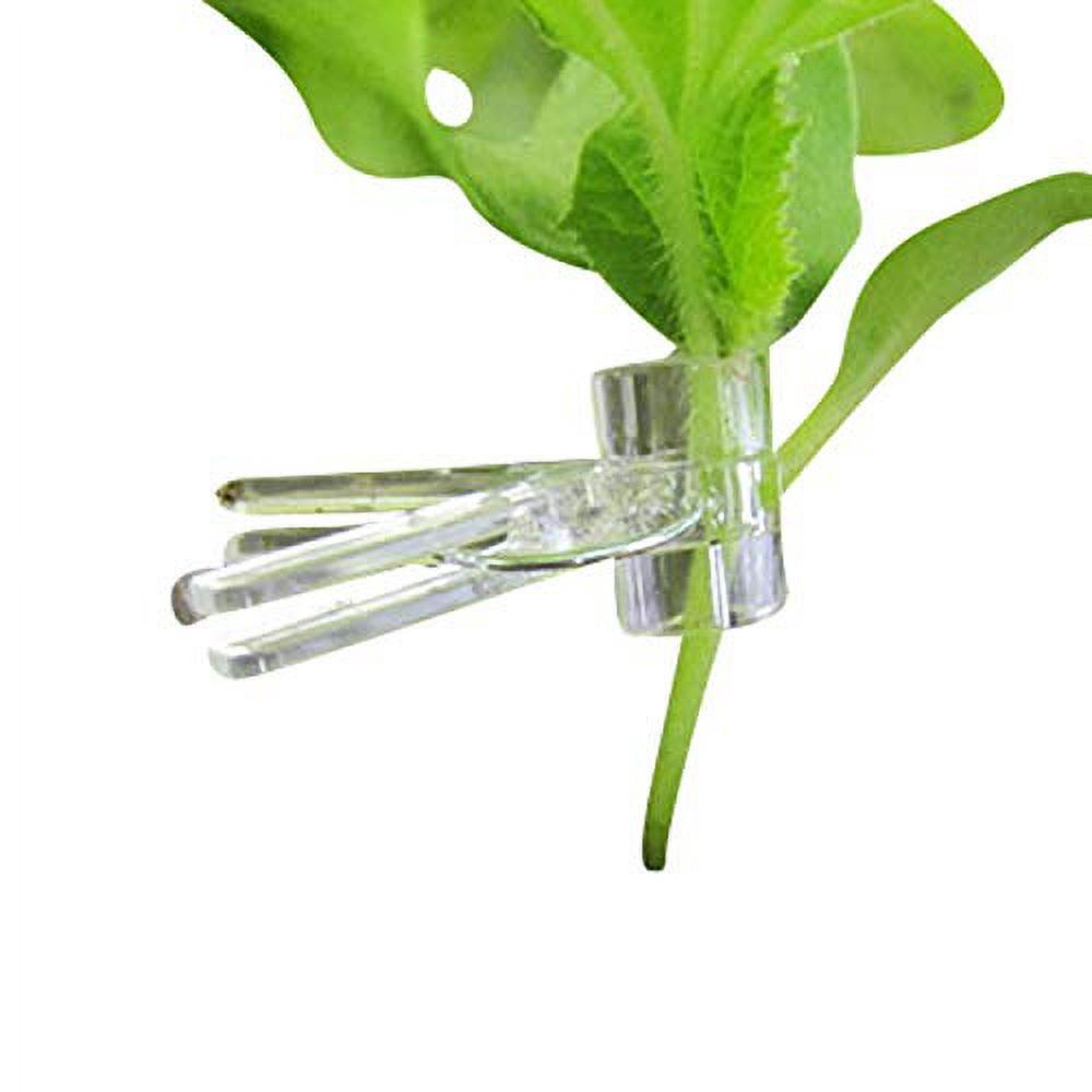 Spring Loaded Plant Grafting Clips 100 Ct