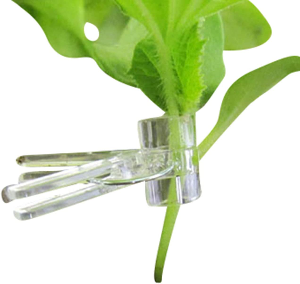 Spring Loaded Plant Grafting Clips 100 Ct