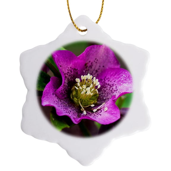 3drose, Spring, Magenta and Purple Helleborus or Letten Rose Flower, 3 inch Snowflake Porcelain Ornament