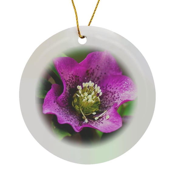 3drose, Spring, Magenta and Purple Helleborus or Letten Rose Flower, Circle Porcelain Ornament