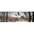 thumbnail image 1 of Spring Mapling, 1 of 6