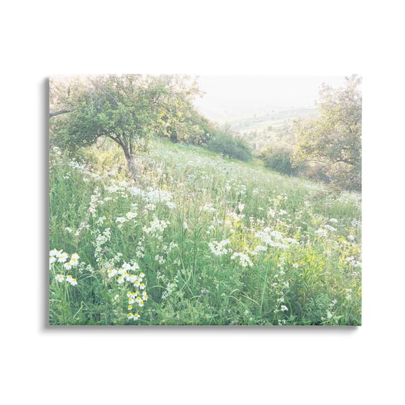 Spring Meadow Grassland Field Landscape Photograph Gallery Wrapped Canvas Print Wall Art