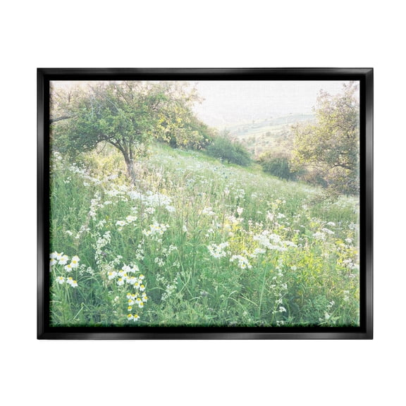 Spring Meadow Grassland Field Landscape Photograph Jet Black Framed Art Print Wall Art