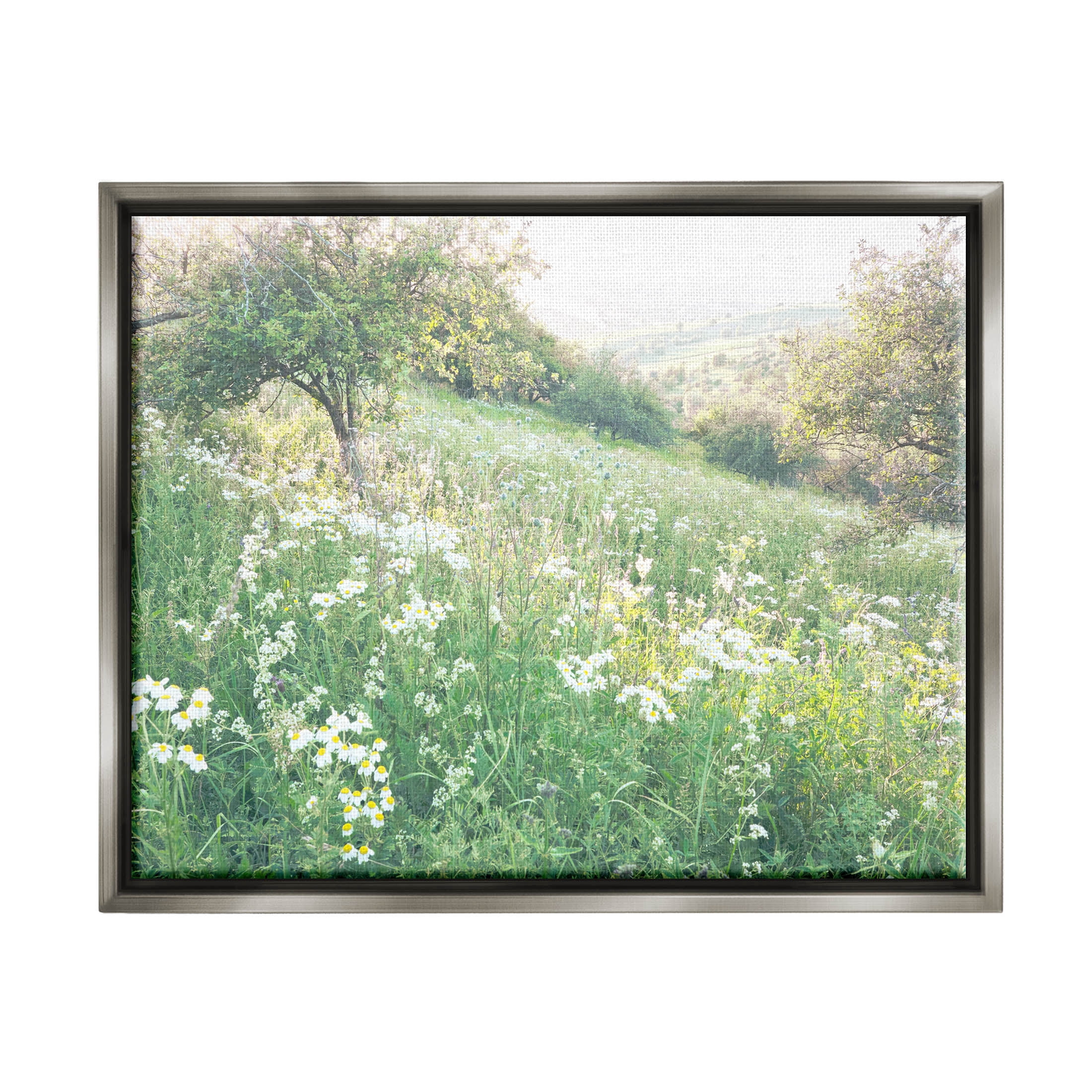 Spring Meadow Grassland Field Landscape Photograph Luster Gray Framed Art Print Wall Art