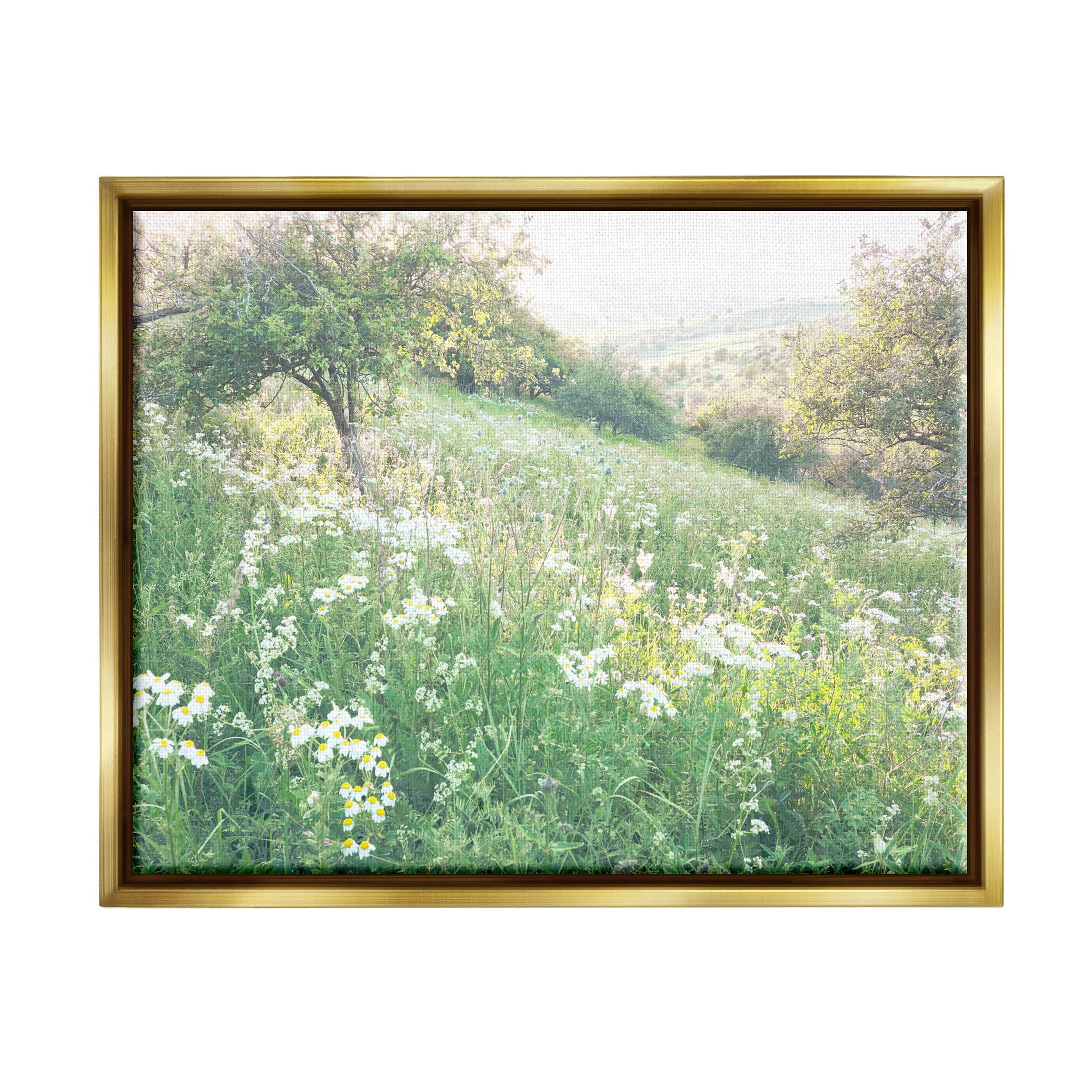 Spring Meadow Grassland Field Landscape Photograph Metallic Gold Framed Art Print Wall Art