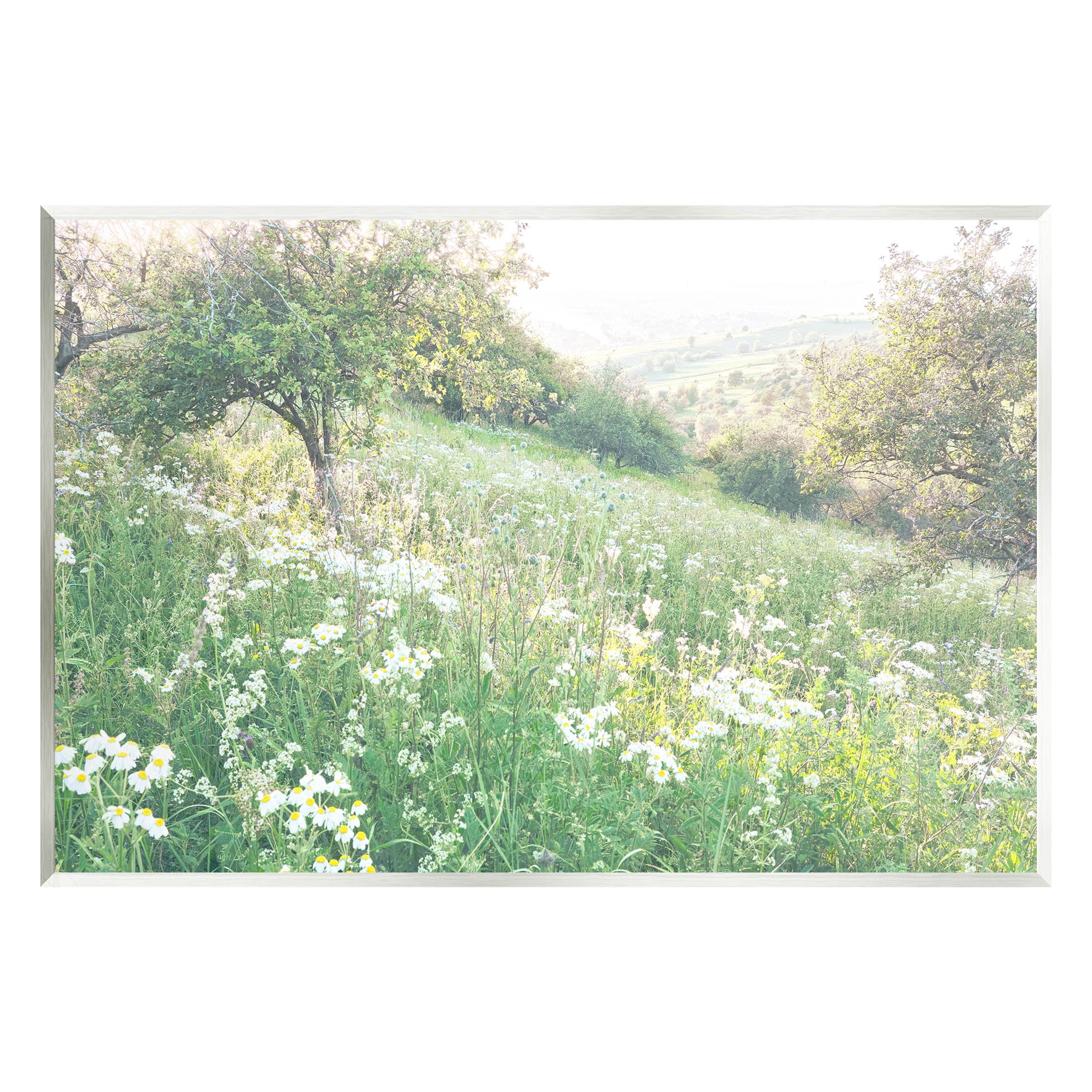 Spring Meadow Grassland Field Landscape Photograph Unframed Art Print Wall Art