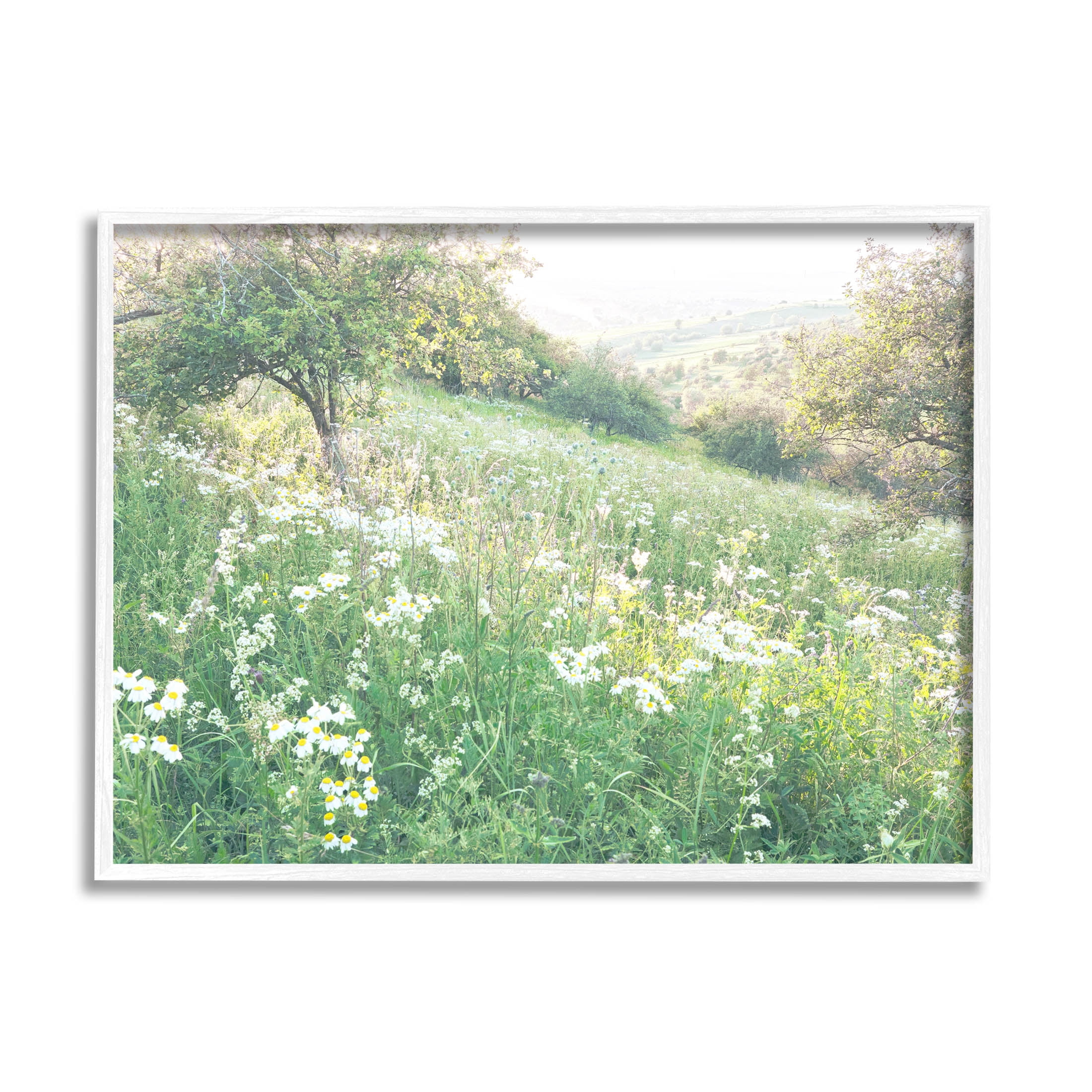 Spring Meadow Grassland Field Landscape Photograph White Framed Art Print Wall Art