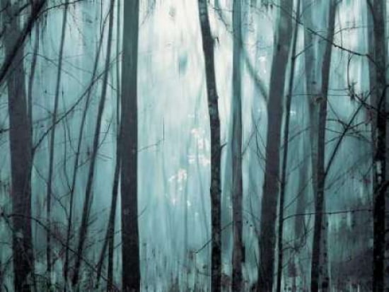 Spring Mist I Canvas Art - Marvin Pelkey (18 x 24)