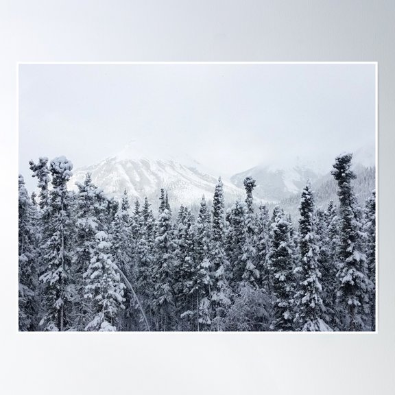 Spring Morning Mountain Forest Photography Poster Wall Art, Modern Wall Decor, 24x36 UNFRAMED